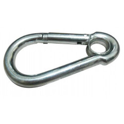 Carabiner with ring anti-loss stainless m8